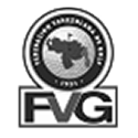 Federación Venezolana de Golf